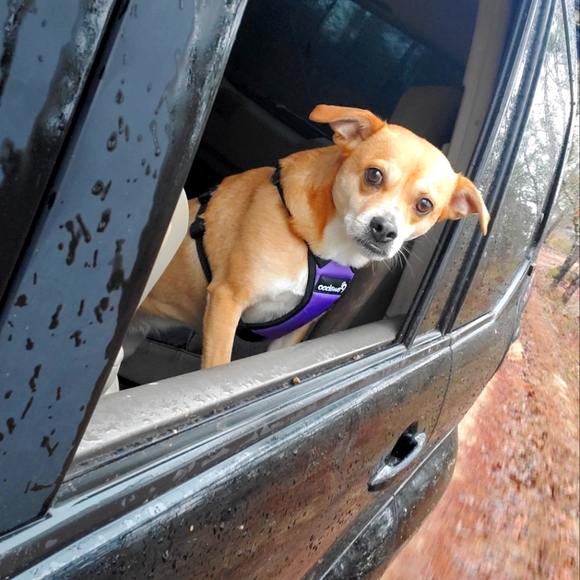 Meet your Posher, Magan - Picture 1 of 1